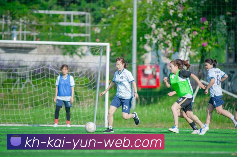 开云官网发展历程